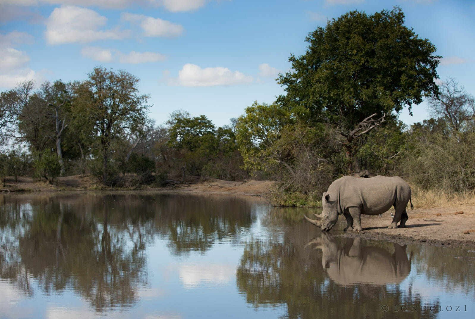 White Rhino Shingi Dam taken by James Tyrrell